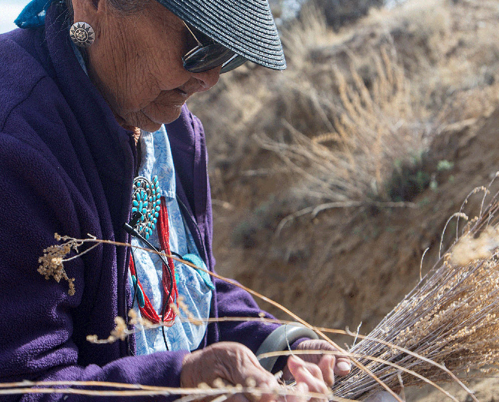 June Benally gathering herbs